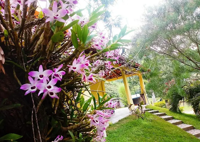 Casa Com Flores
